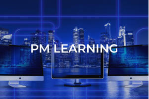 Project Management Learning, powered by Project Management Mentor Steven Goeman