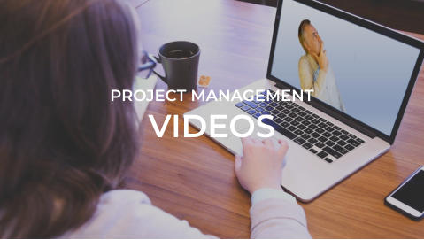 Project Management Mentor link towards project management videos