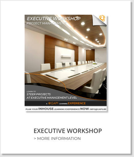 EXECUTIVE WORKSHOP > MORE INFORMATION